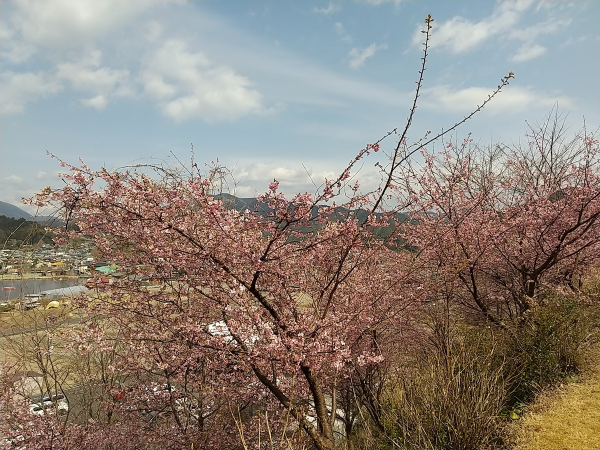 f:id:ochagurashi:20220311171931j:plain
