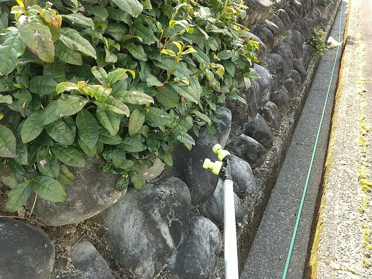 f:id:ochagurashi:20220322075955j:plain