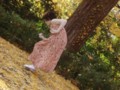 f:id:ochamatsuri:20091205151208j:image:medium:right