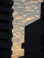 f:id:ochamatsuri:20131007171111j:image:medium:left