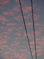 f:id:ochamatsuri:20131007172813j:image:medium:left