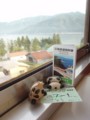 f:id:ochamatsuri:20160701170937j:image:medium:right