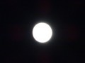 f:id:ochamatsuri:20171004184449j:image:medium:left