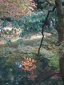 f:id:ochamatsuri:20171103155935j:image:medium:left