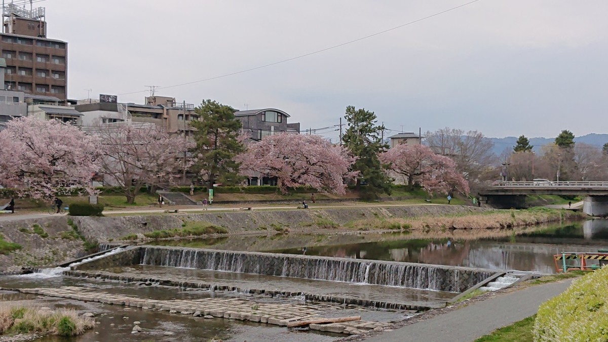 f:id:ochamatsuri:20190424130550j:plain f:id:ochamatsuri:20190424130550j:plain