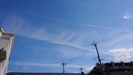 f:id:ochamatsuri:20190602013318j:plain