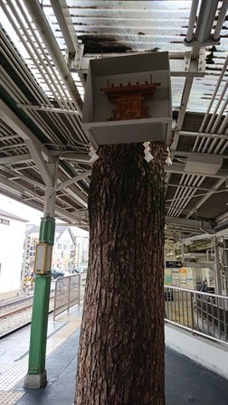 f:id:ochamatsuri:20190612015232j:plain