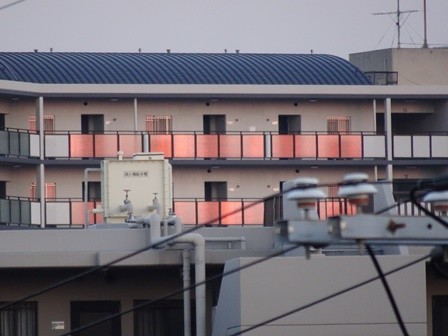 f:id:ochamatsuri:20190703233337j:plain f:id:ochamatsuri:20190703233337j:plain