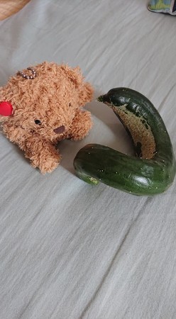 f:id:ochamatsuri:20190703235627j:plain f:id:ochamatsuri:20190703235627j:plain