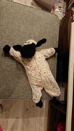 f:id:ochamatsuri:20190913135308j:plain f:id:ochamatsuri:20190913135308j:plain