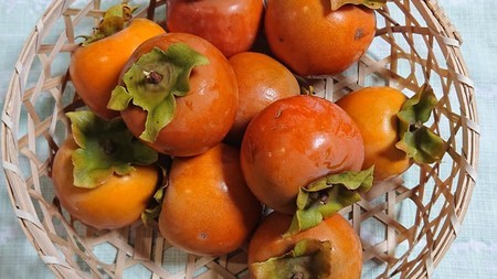 f:id:ochamatsuri:20191019232925j:plain f:id:ochamatsuri:20191019232925j:plain