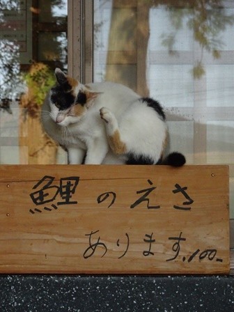 f:id:ochamatsuri:20191124001718j:plain f:id:ochamatsuri:20191124001718j:plain