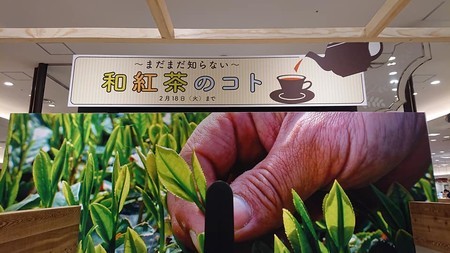 f:id:ochamatsuri:20200224021528j:plain f:id:ochamatsuri:20200224021528j:plain