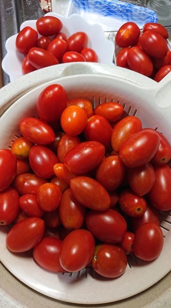 f:id:ochamatsuri:20200802171452j:plain