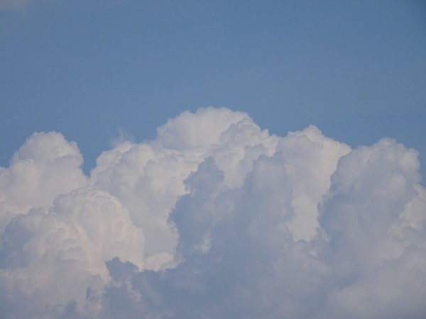 f:id:ochamatsuri:20200827234221j:plain