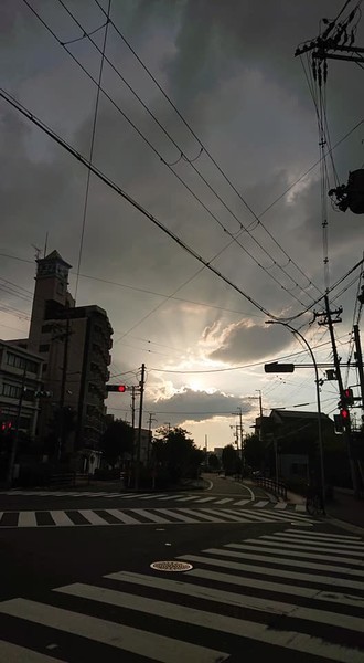f:id:ochamatsuri:20200913001658j:plain f:id:ochamatsuri:20200913001658j:plain