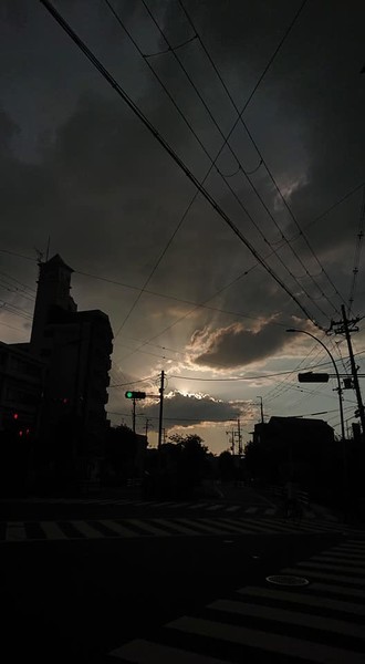 f:id:ochamatsuri:20200913001701j:plain f:id:ochamatsuri:20200913001701j:plain