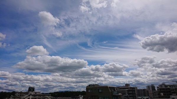 f:id:ochamatsuri:20200920220356j:plain f:id:ochamatsuri:20200920220356j:plain