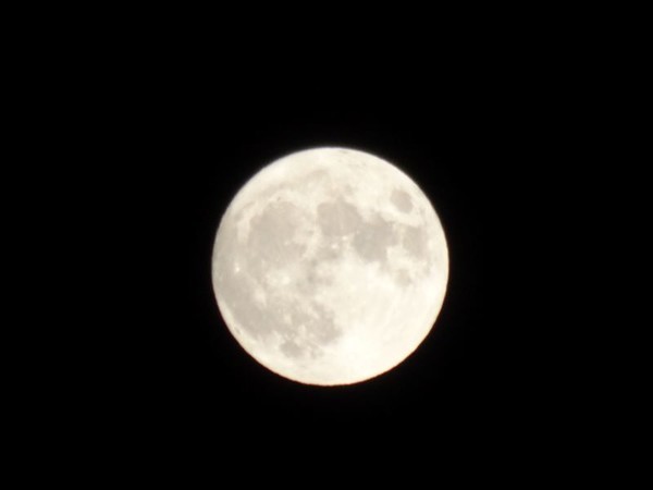 f:id:ochamatsuri:20201005022411j:plain f:id:ochamatsuri:20201005022411j:plain