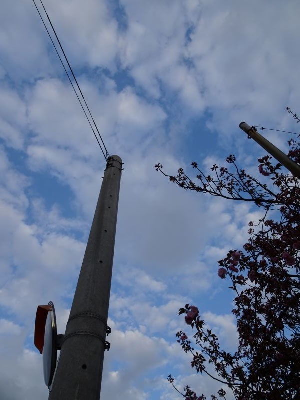 f:id:ochamatsuri:20210417171718j:plain