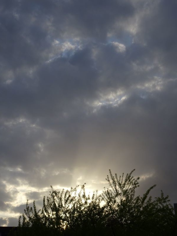 f:id:ochamatsuri:20210417171723j:plain