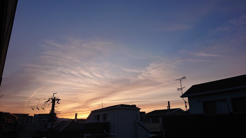 f:id:ochamatsuri:20210417215802j:plain