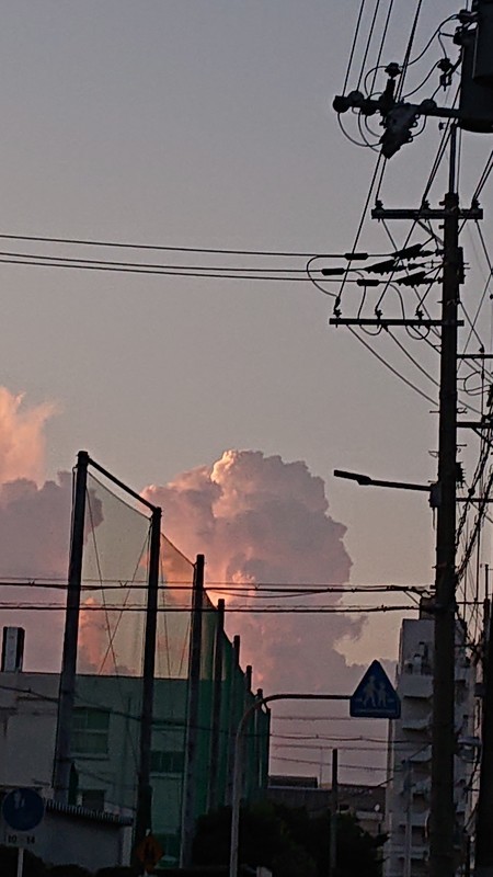 f:id:ochamatsuri:20210728174306j:plain