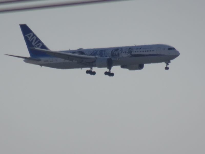 f:id:ochamatsuri:20220402184731j:plain