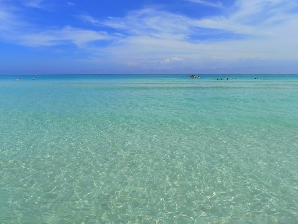 f:id:ochapan:20190503230150j:plain