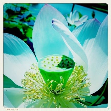 f:id:ocheb:20110711201137j:image:h230 f:id:ocheb:20110711201137j:image:h230