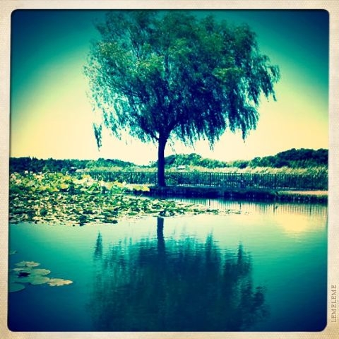 f:id:ocheb:20110711201209j:image:h230 f:id:ocheb:20110711201209j:image:h230