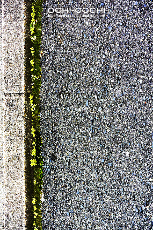 f:id:ochi_cochi:20170201182904j:plain