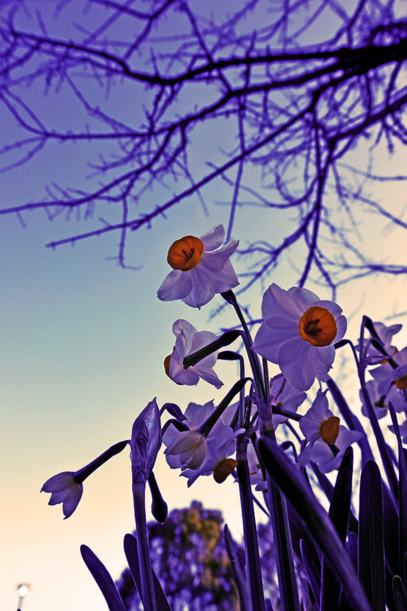 f:id:ochi_cochi:20170224081228j:plain f:id:ochi_cochi:20170224081228j:plain