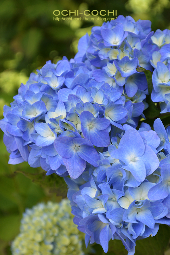 f:id:ochi_cochi:20170620154925j:plain f:id:ochi_cochi:20170620154925j:plain