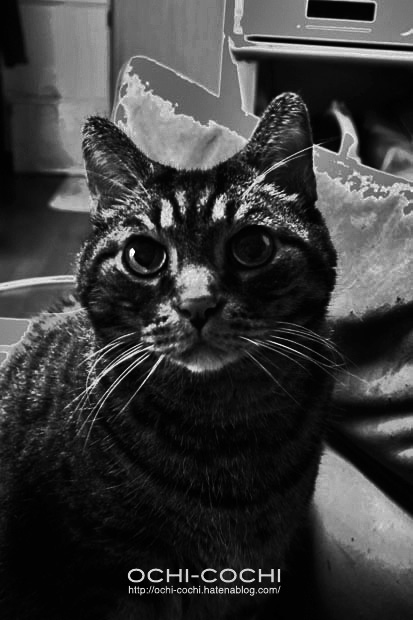 f:id:ochi_cochi:20171122220628j:plain