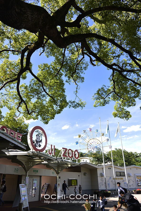 f:id:ochi_cochi:20180522104534j:plain