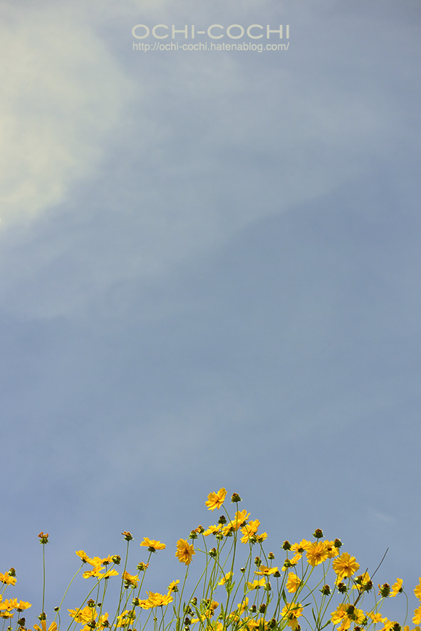 f:id:ochi_cochi:20180522105059j:plain