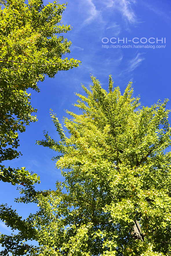 f:id:ochi_cochi:20180821145124j:plain