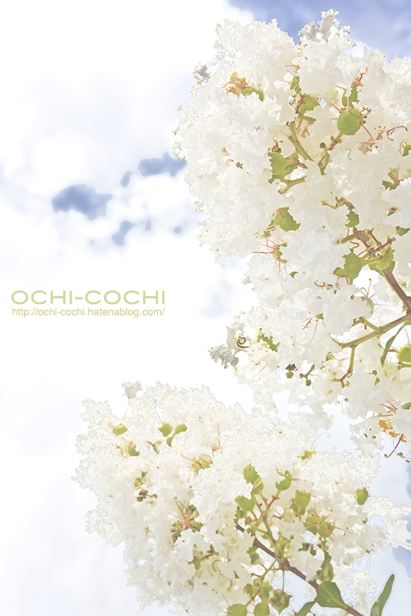 f:id:ochi_cochi:20180831172406j:plain f:id:ochi_cochi:20180831172406j:plain