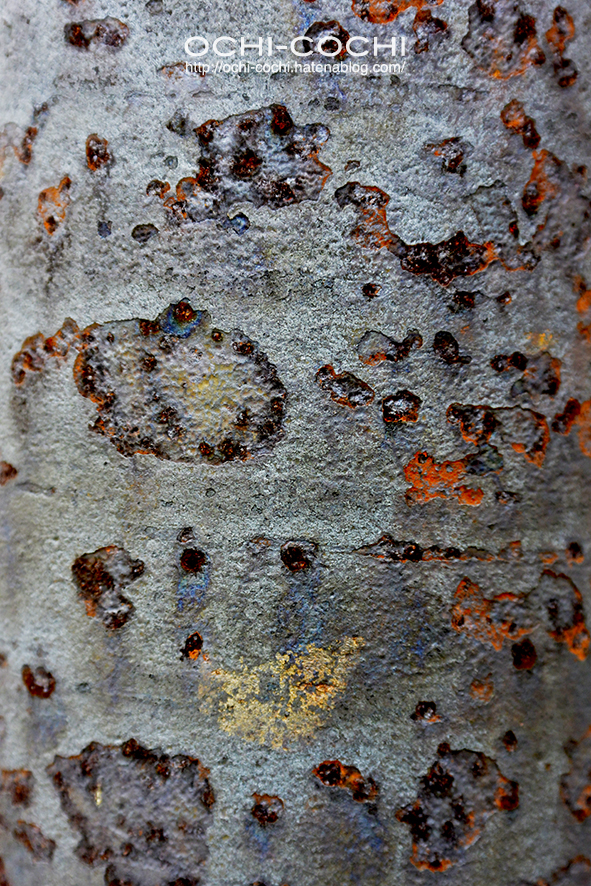 f:id:ochi_cochi:20181028151704j:plain