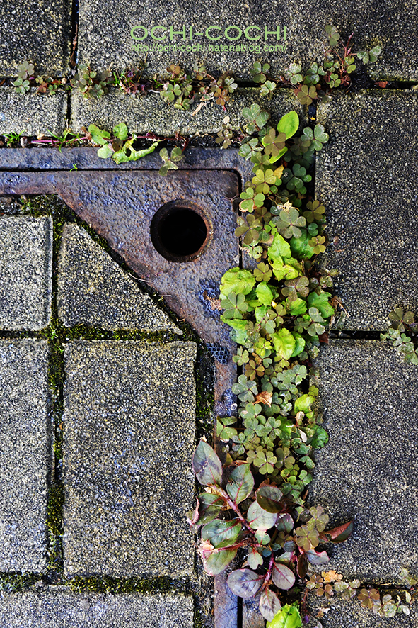 f:id:ochi_cochi:20181028151719j:plain