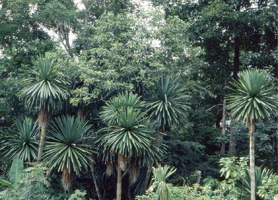 f:id:ochimusha01:20171019125626j:plain