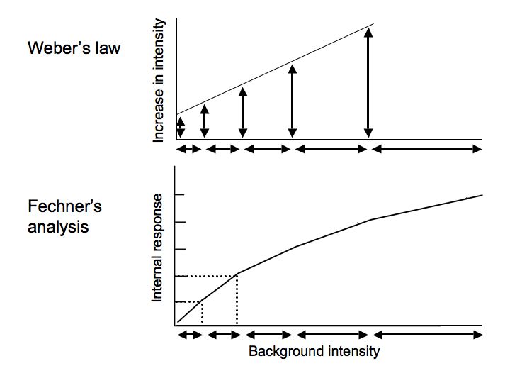 【指数・対数関数】【ヴエーバ・フェヒナの法則】人間の感覚を支配する対数尺度？ 「諸概念の迷宮（Things got frantic）」用語集