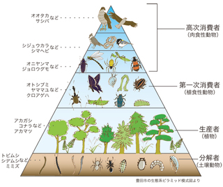 f:id:ochimusha01:20191007062735j:plain
