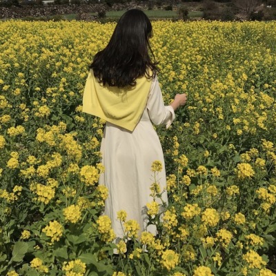 f:id:ochimusha01:20191121081930j:plain f:id:ochimusha01:20191121081930j:plain