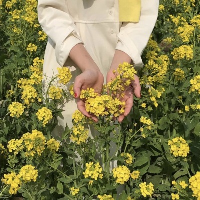 f:id:ochimusha01:20191121081944j:plain f:id:ochimusha01:20191121081944j:plain