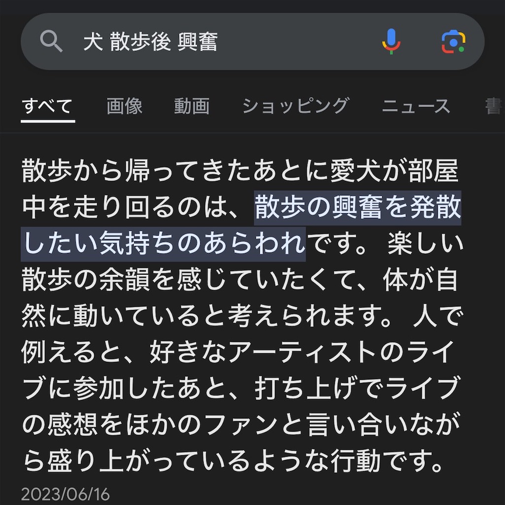 f:id:ochimusha01:20240316103118j:image f:id:ochimusha01:20240316103118j:image
