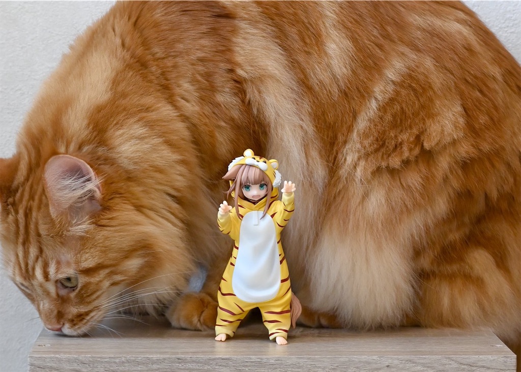 f:id:ochimusha01:20240625050041j:image