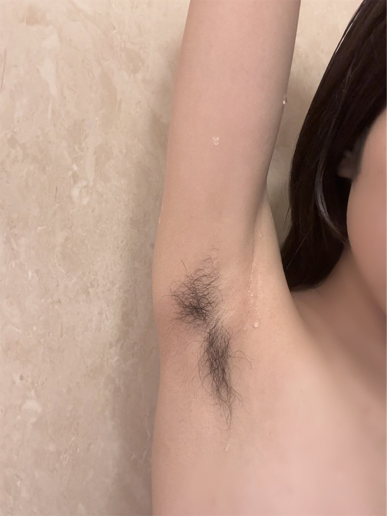 f:id:ochimusha01:20241113202848j:image f:id:ochimusha01:20241113202848j:image