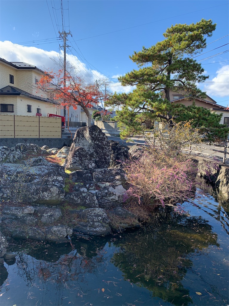 f:id:ochinaihappa:20221205234802j:image